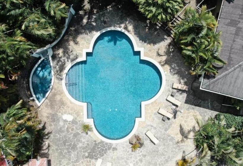 فندق Fogo Resort