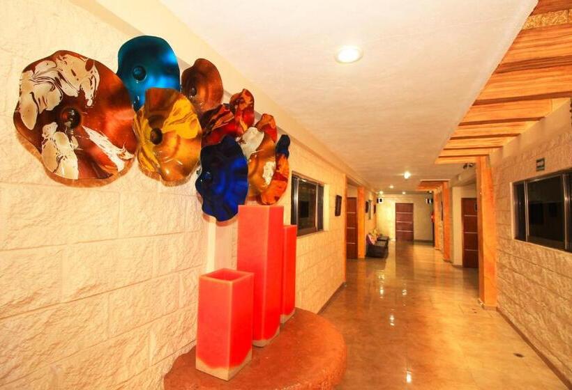 Fotos del hotel Papagayo  Boutique:  41