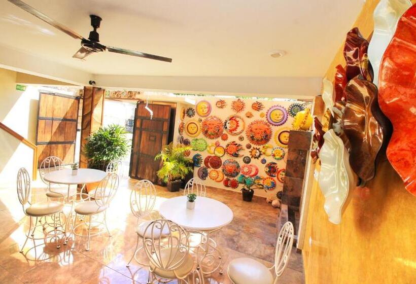 Fotos del hotel Papagayo  Boutique:  39