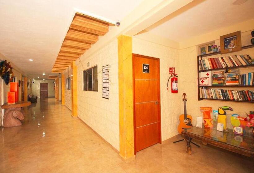 Fotos del hotel Papagayo  Boutique:  38