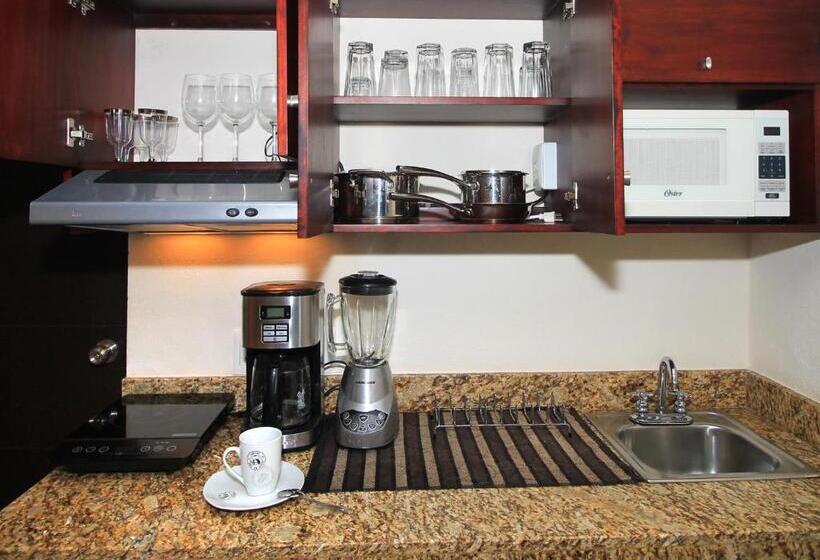 Fotos del hotel Papagayo  Boutique:  21