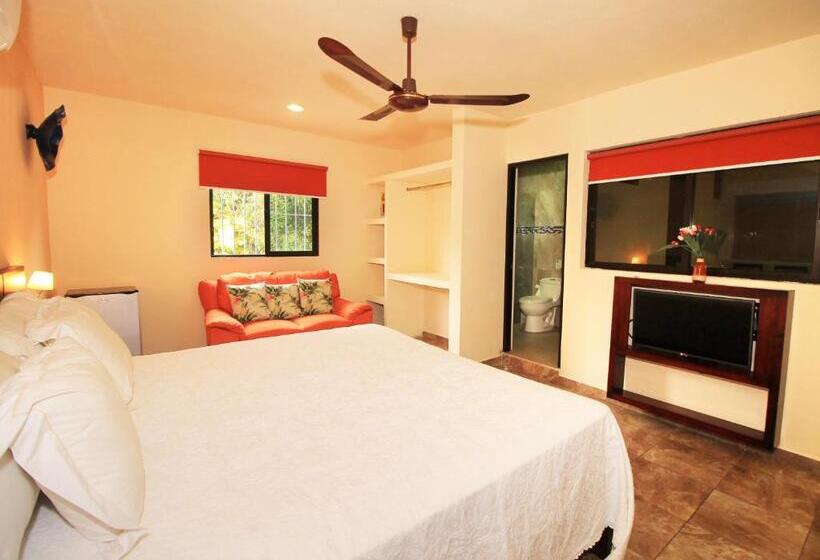 Fotos del hotel Papagayo  Boutique:  6