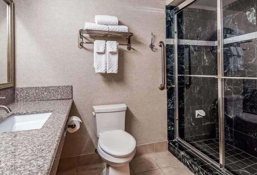Fotos del hotel Best Western Plus North Las Vegas Inn & Suites:  40