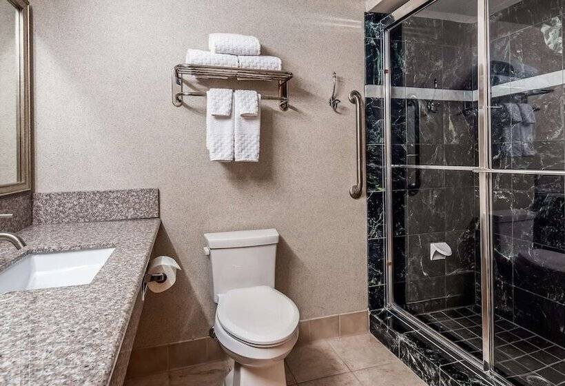 Fotos del hotel Best Western Plus North Las Vegas Inn & Suites:  21