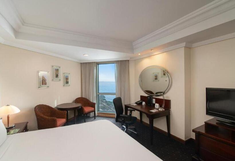 Fotos del hotel Catalonia Santo Domingo:  82