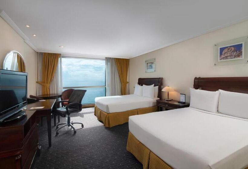 Fotos del hotel Catalonia Santo Domingo:  6