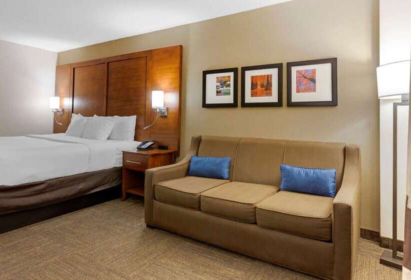 Hotel Comfort Inn And Suites Presidential Little Rock