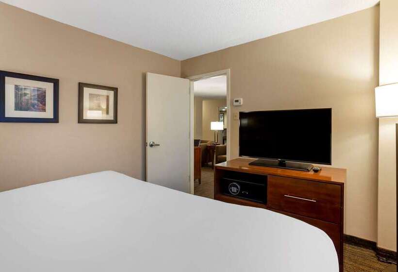 Hotel Comfort Inn And Suites Presidential Little Rock