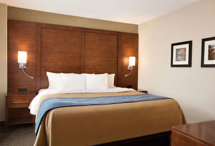 Hotel Comfort Inn And Suites Presidential Little Rock