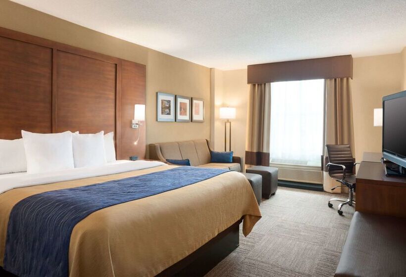 호텔 Comfort Inn And Suites Presidential Little Rock