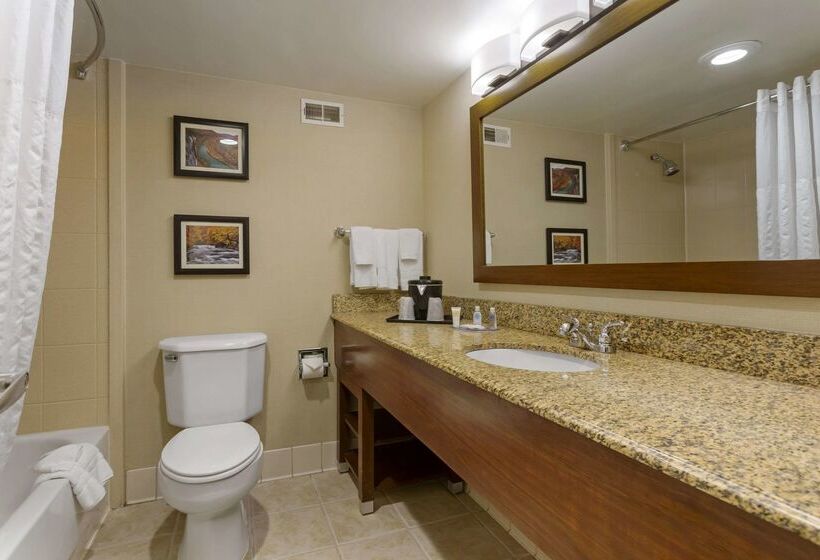 هتل Comfort Inn & Suites Presidential