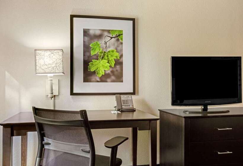 هتل La Quinta By Wyndham Miami Airport East