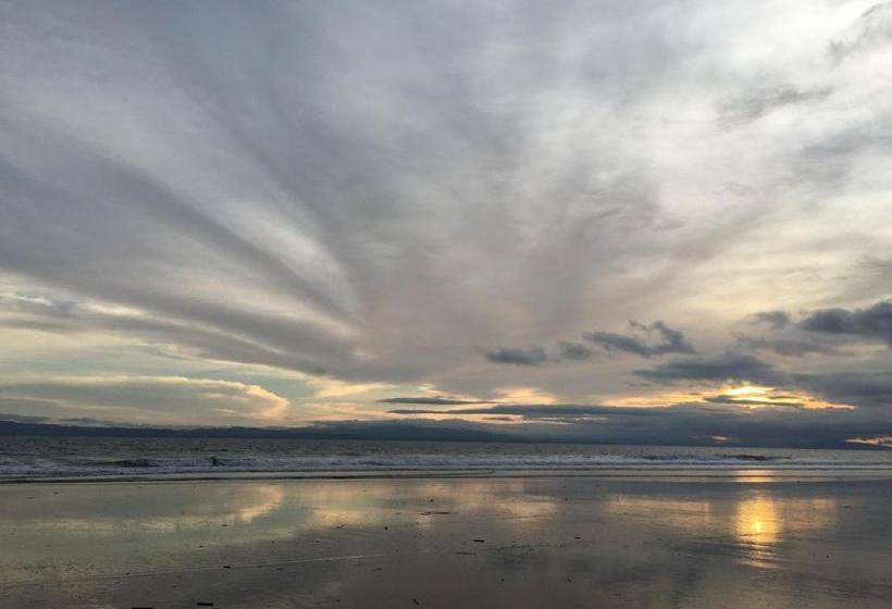 بنسيون Cabinas Los Cocos