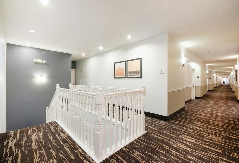هتل Baymont By Wyndham Houston North
