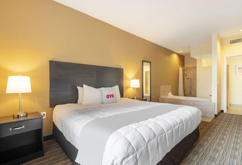 Fotos del hotel Baymont By Wyndham Houston North:  17