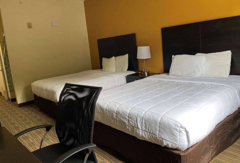 Fotos del hotel Baymont By Wyndham Houston North:  5