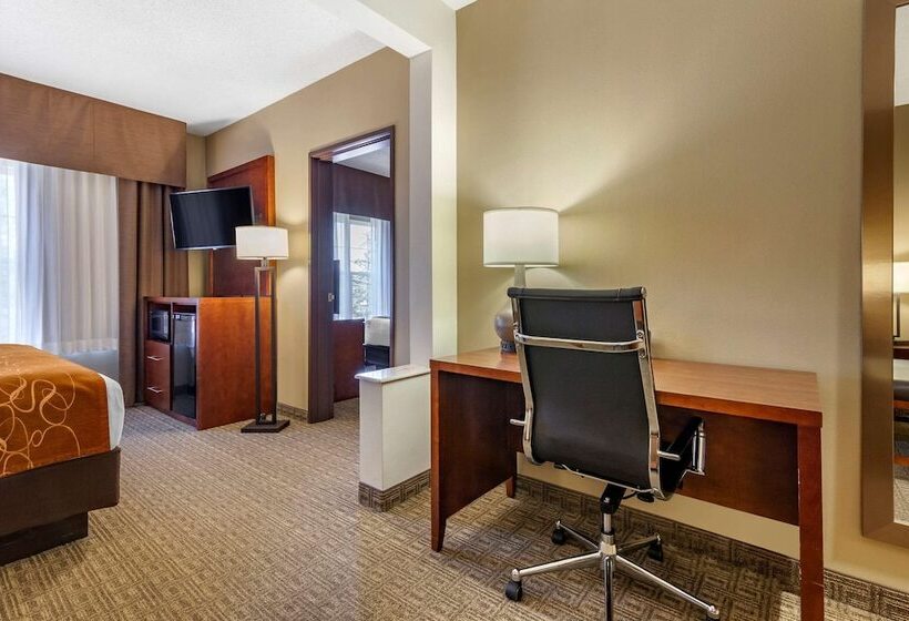 호텔 Comfort Suites