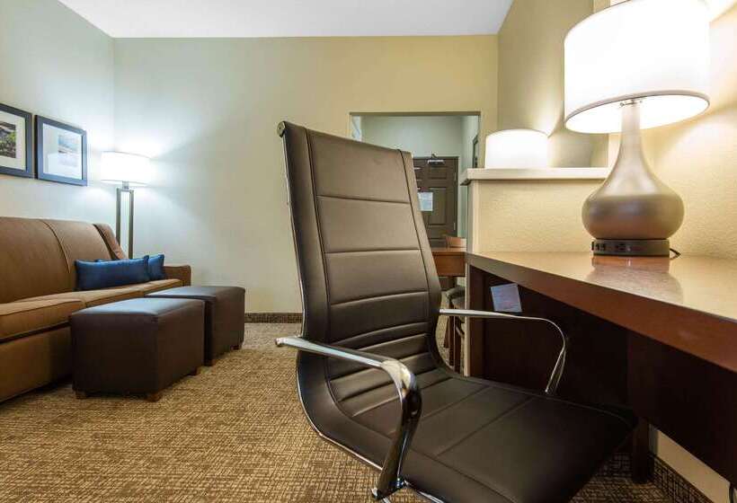 Hotel Comfort Suites Rochester Henrietta University Area