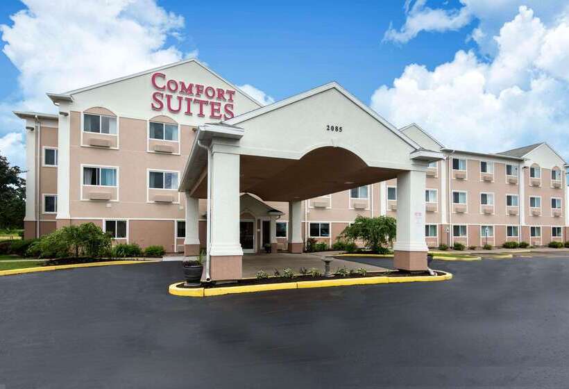هتل Comfort Suites Rochester Henrietta University Area