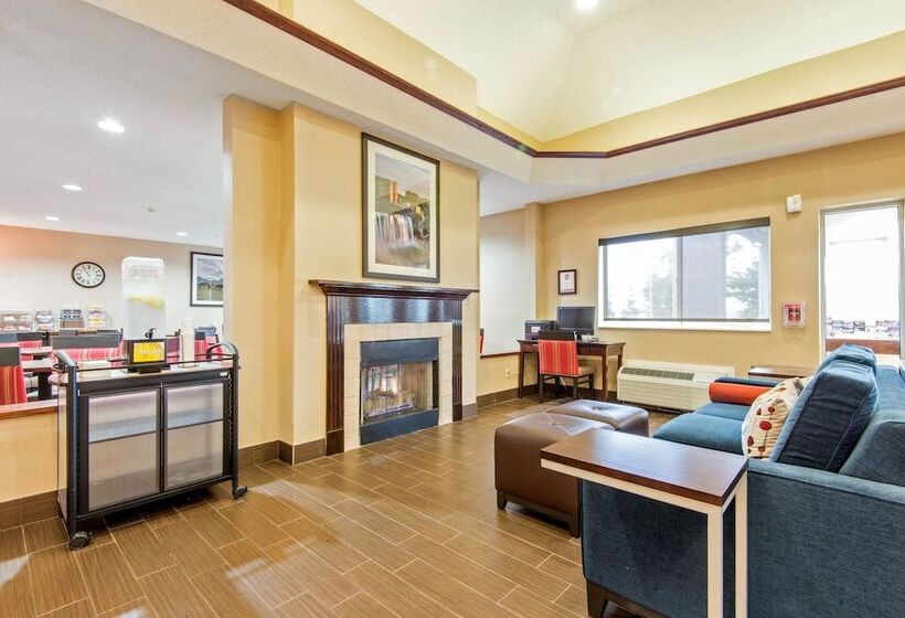 هتل Comfort Suites Rochester Henrietta University Area