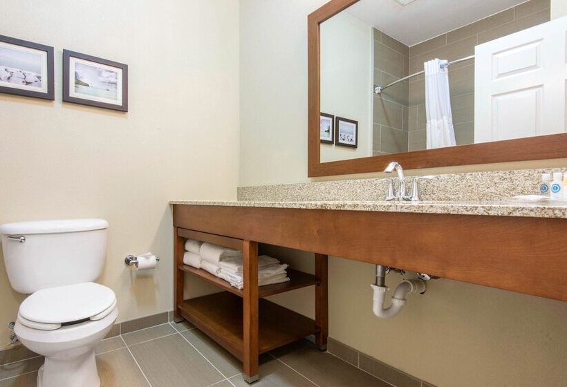 هتل Comfort Suites Rochester Henrietta University Area