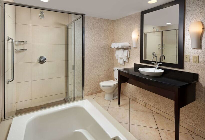 Doubletree By Hilton Hotel Chattanooga Downtown