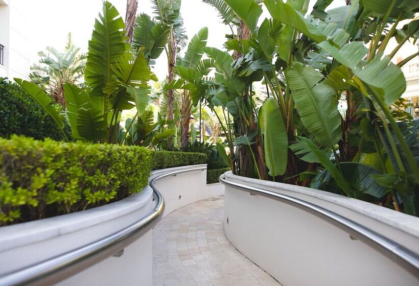 Fotos del hotel Four Seasons Hotel Buenos Aires:  5