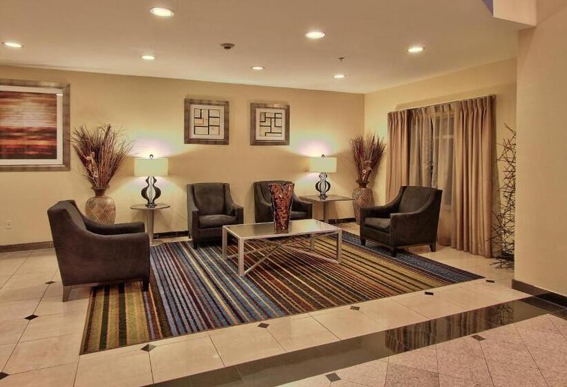 Holiday Inn Express Hotel & Suites Houston Downtown Convention Center, An Ihg