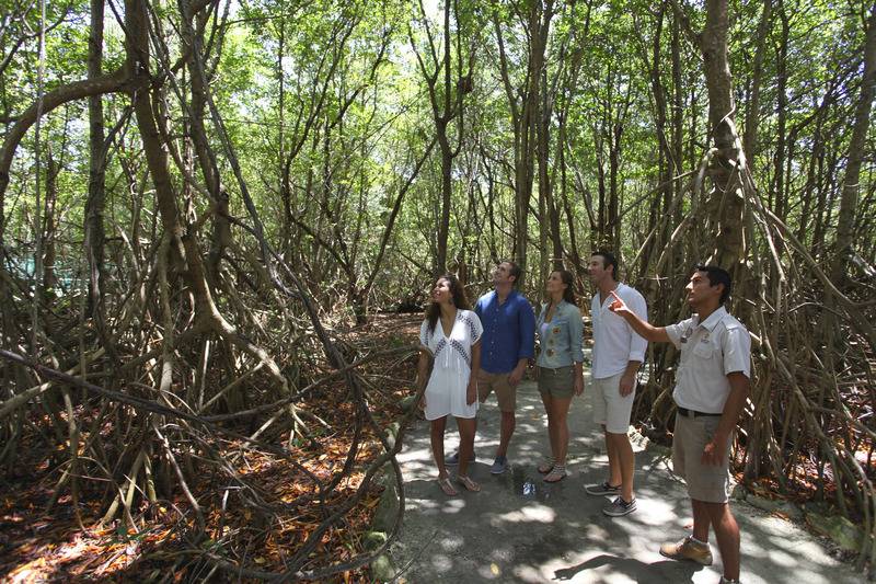 Sandos Caracol Eco Resort  All Inclusive