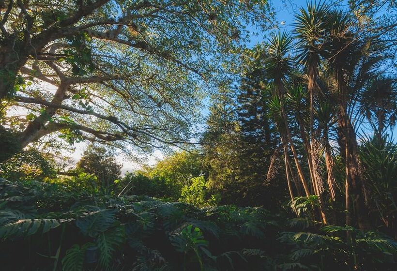 فندق Finca Rosa Blanca Coffee Farm And Inn