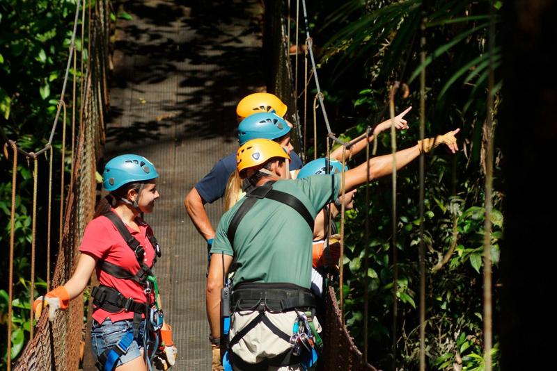 فندق Finca Rosa Blanca Coffee Farm And Inn