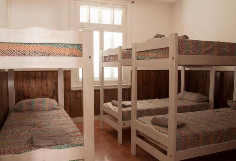 پانسیون Hostel Brown