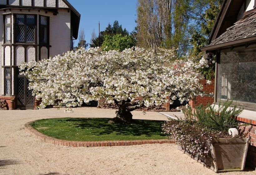 هتل The Birches Bed & Breakfast