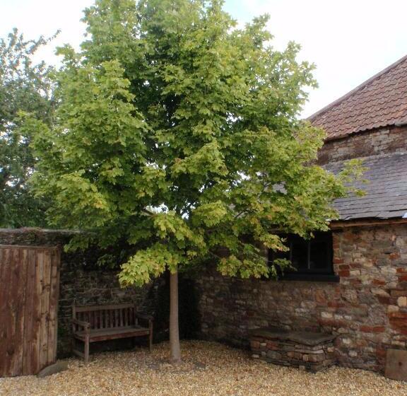 住宿加早餐  The Old Parsonage