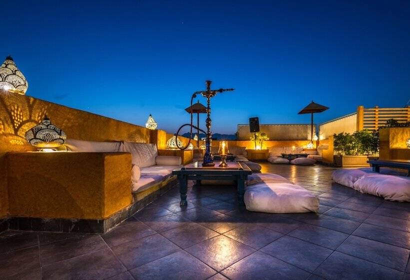 Camel Dive Club & Hotel   Boutique
