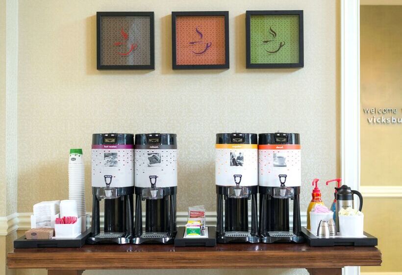 هتل Hampton Inn & Suites Vicksburg
