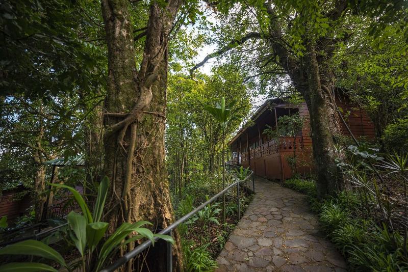 Fotos del hotel Heliconia  Monteverde:  20