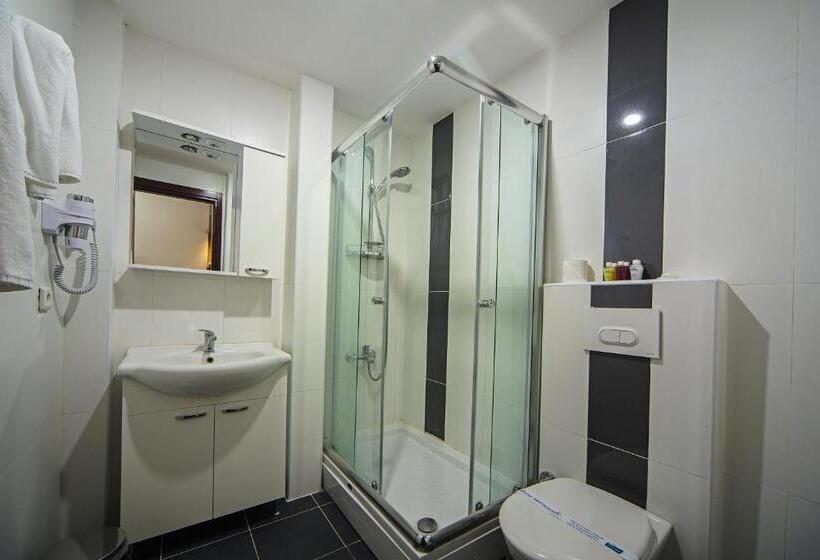 Fotos del hotel Hippodrome:  58