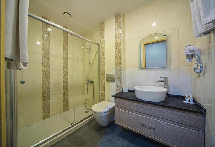 Fotos del hotel Hippodrome:  56