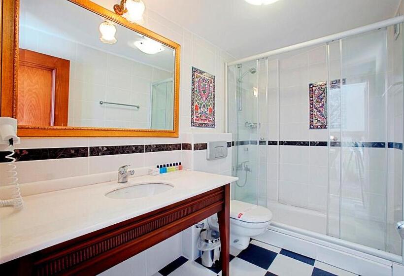 Fotos del hotel Hippodrome:  59