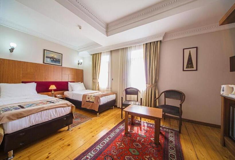 Fotos del hotel Hippodrome:  27