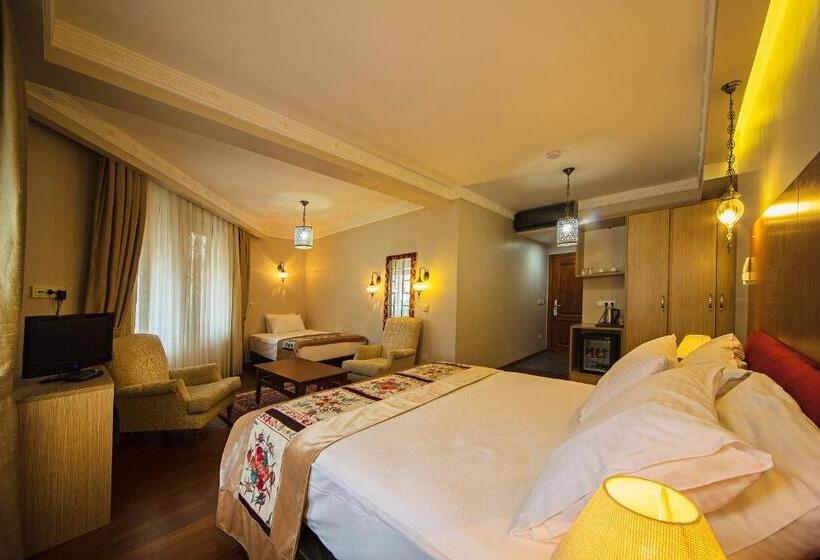 Fotos del hotel Hippodrome:  21