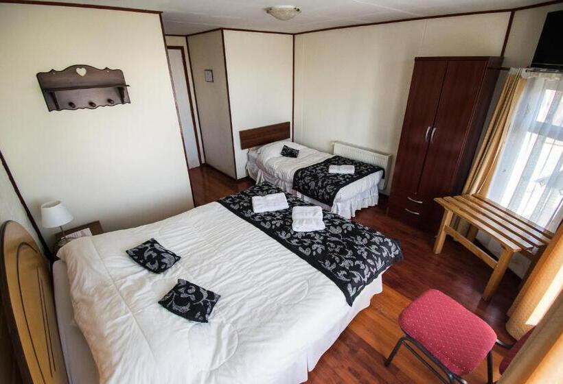 ホテル Hostal Alcázar