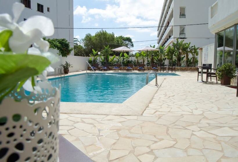 Fotos del hotel Paraiso Beach By Llum - Adults Only:  5