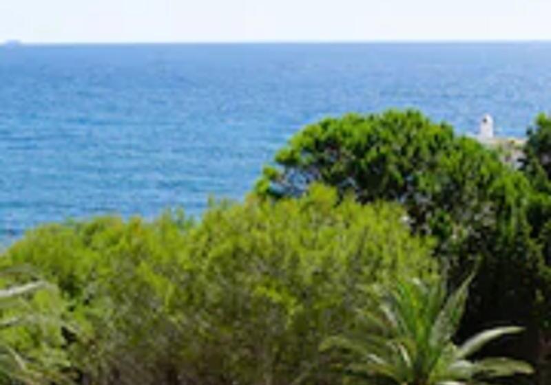 Fotos del hotel Paraiso Beach By Llum - Adults Only:  26