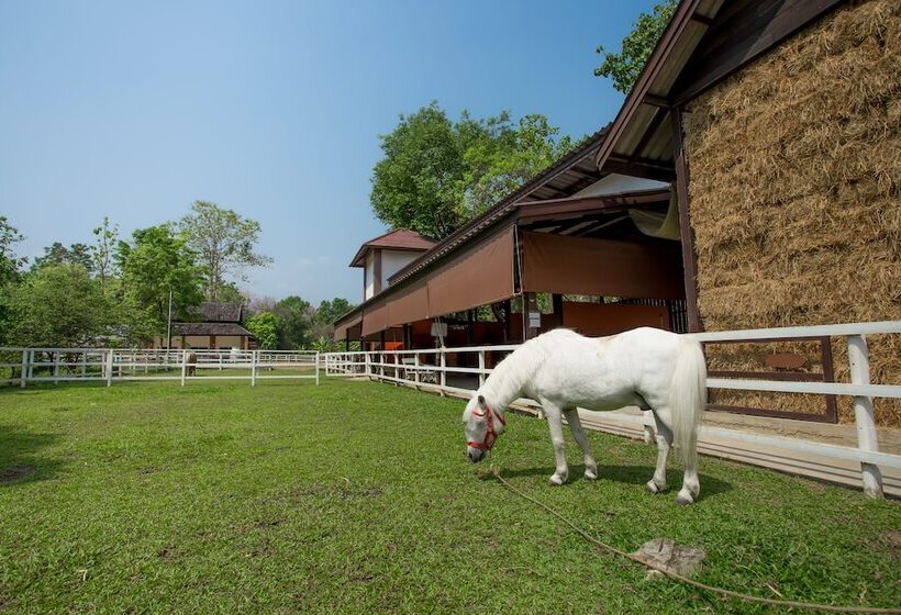 استراحتگاه Jirung Health Village