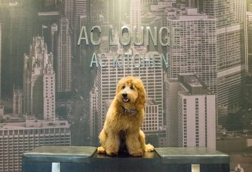 Ac Hotel Chicago Downtown