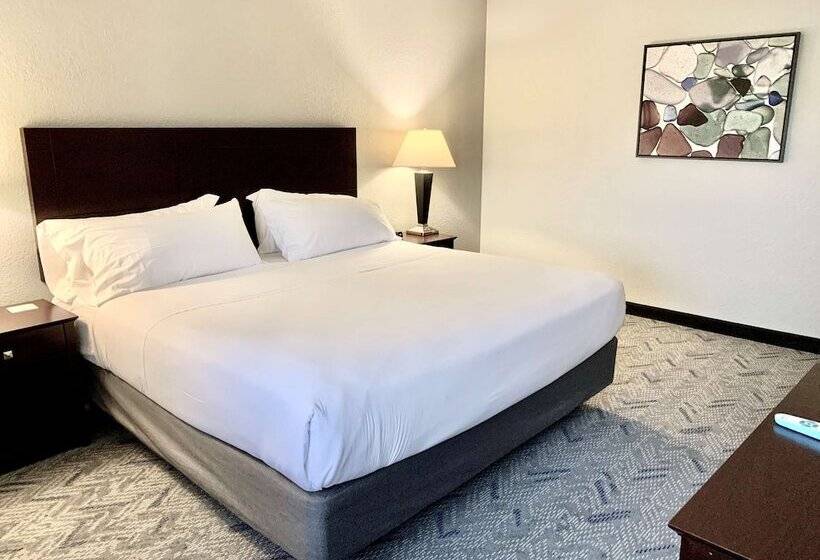 هتل Best Western Oswego