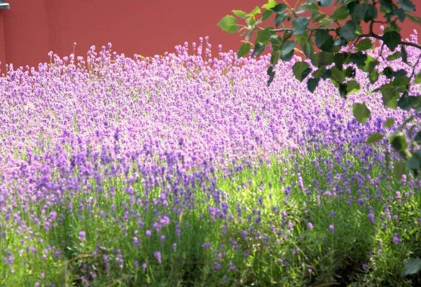 Fotos del hotel Boutiquehotel Stadthalle:  15