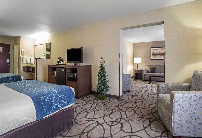 Hotel Comfort Suites Airport